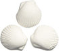 Small - 3 count Weco Wonder Shell Removes Chlorine and Clears Cloudy Water in Aquariums