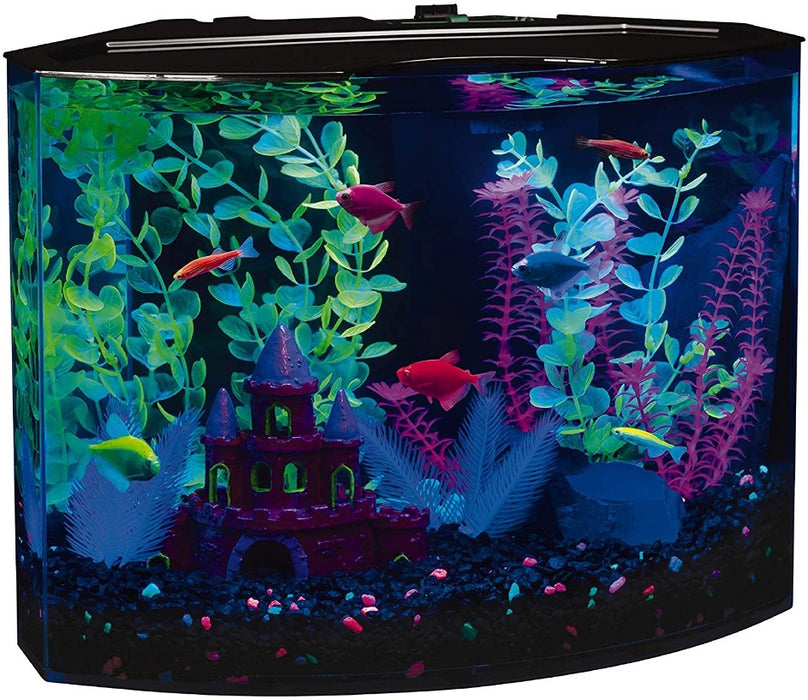 1 count GloFish Aquarium Kit with LED Light 5 Gallons