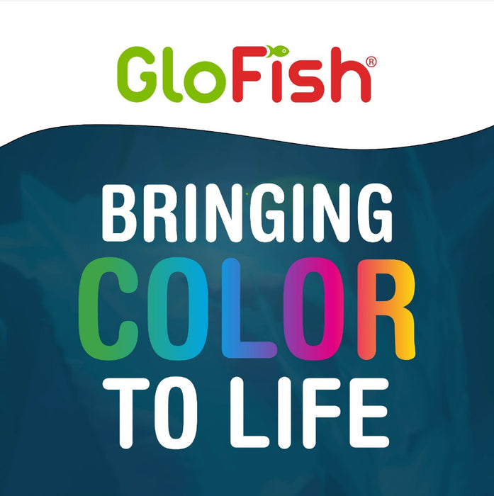 3 gallon GloFish Trilogy Beta Aquarium Kit with Hood and LED Light