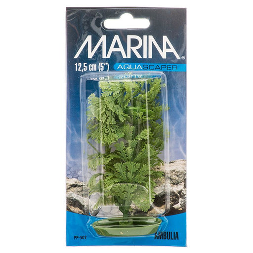5" tall Marina Aquascaper Ambulia Plant