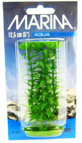 5" tall Marina Aquascaper Anacharis Plant