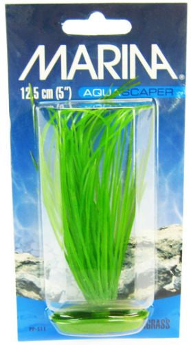 5" tall Marina Hairgrass Aquarium Plants