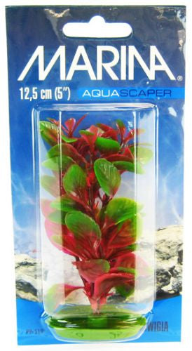 5" tall Marina Aquascaper Red Ludwigia Plant