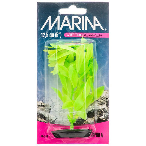 5" tall Marina Vibrascaper Hygrophilia Plant Green DayGlo