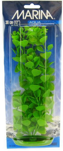 12" tall Marina Aquascaper Moneywort Plant