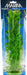 15" tall Marina Aquascaper Hygrophila Plant