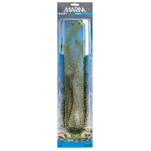 20" tall Marina Aquascaper Anacharis Plant