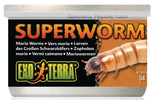 1.2 oz Exo Terra Canned Superworms Specialty Reptile Food