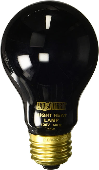 75 watt Exo Terra Night Heat Lamp for Reptiles