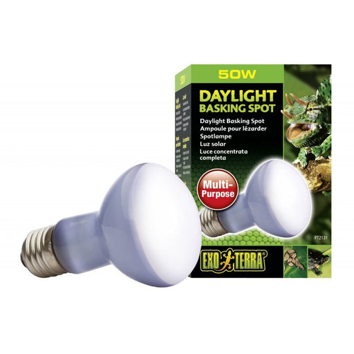 50 watt Exo Terra Daylight Basking Spot Lamp