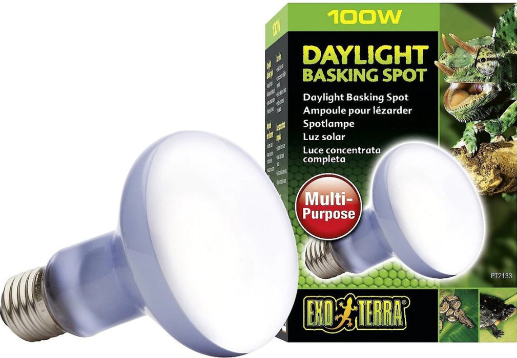 100 watt Exo Terra Daylight Basking Spot Lamp
