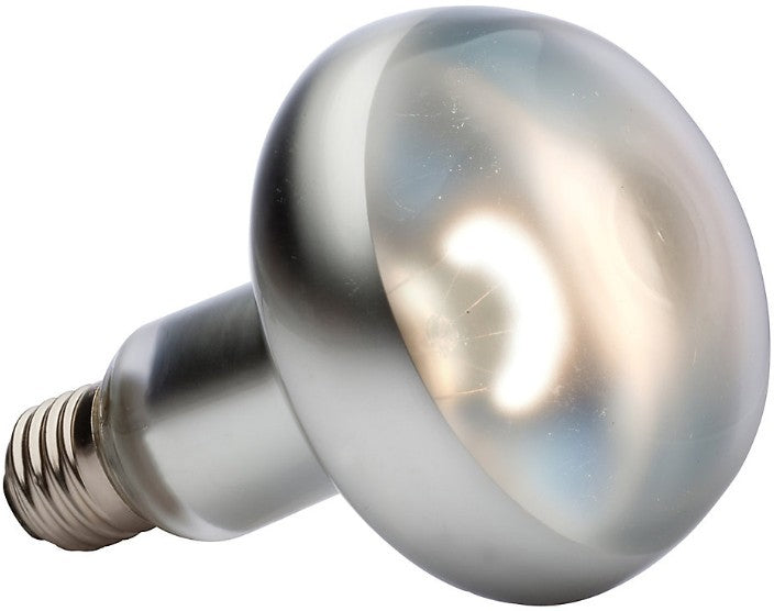 150 watt Exo Terra Intense Basking Spot Lamp