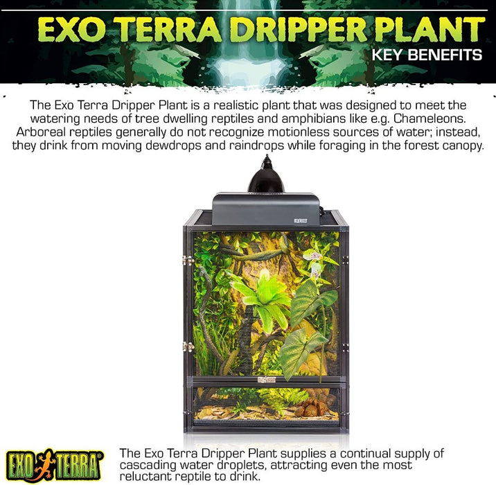 1 count Exo Terra Dripper Plant Large