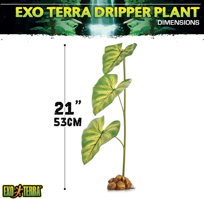 1 count Exo Terra Dripper Plant Large