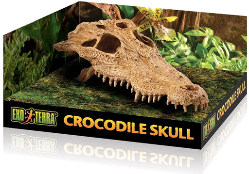 1 count Exo Terra Terrarium Crocodile Skull Decoration