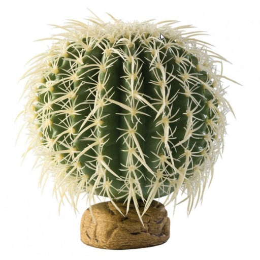 Large - 1 count Exo Terra Desert Barrel Cactus Terrarium Plant