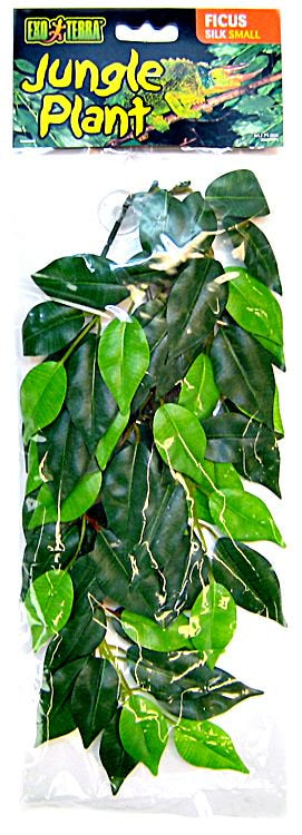 Small - 1 count Exo Terra Silk Ficus Forest Plant