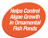 50 count Tetra Pond Block Controls Algae