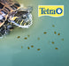 1.13 oz Tetrafauna Pro ReptoMin Baby Turtle Formula
