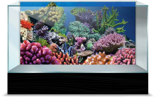 1 count Aquatic Creations Coral Static Cling Background for Aquariums