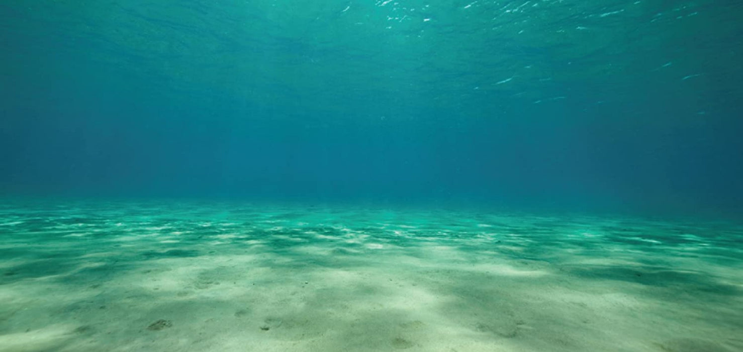 1 count Aquatic Creations Ocean Floor Static Cling Background for Aquariums