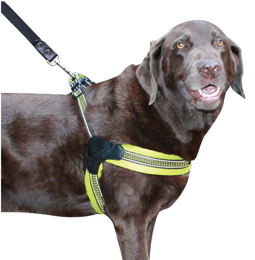 Large - 1 count Sporn Easy Fit Dog Harness Yellow