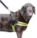 Large - 1 count Sporn Easy Fit Dog Harness Yellow