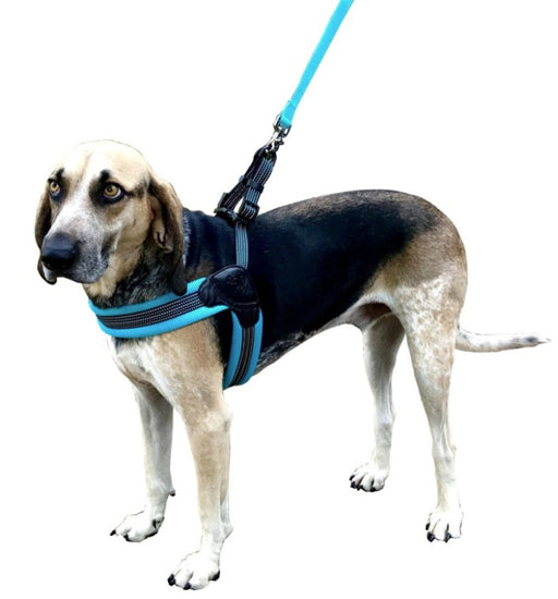 Medium - 1 count Sporn Easy Fit Dog Harness Blue