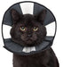 Small - 1 count ZenPet Zen Cone Soft Recovery Collar