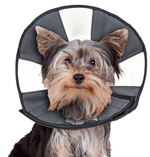 Small - 1 count ZenPet Zen Cone Soft Recovery Collar