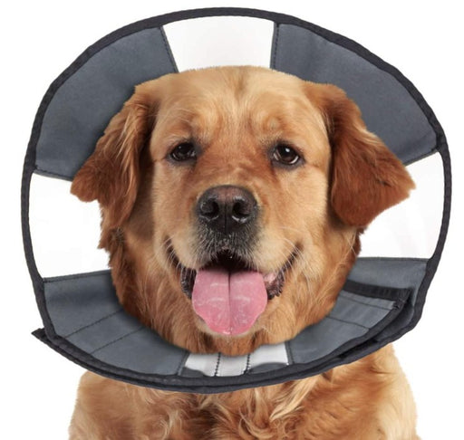 X-Large - 1 count ZenPet Zen Cone Soft Recovery Collar