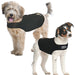 Large - 1 count ZenPet Zen Dog Calming Compression Shirt
