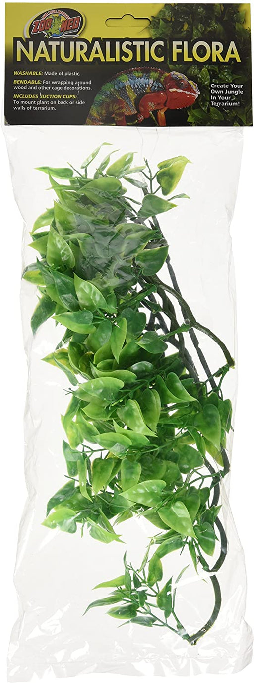 Medium - 1 count Zoo Med Naturalistic Flora Mexican Phyllo Plant for Reptiles