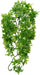Medium - 1 count Zoo Med Naturalistic Flora Bush Congo Ivy Terrarium Plant