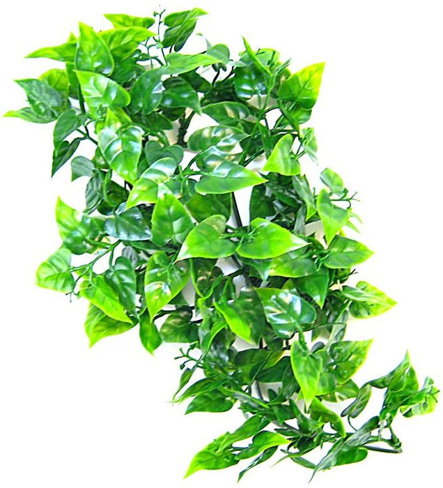 Large - 1 count Zoo Med Naturalistic Flora Mexican Phyllo Plant for Reptiles
