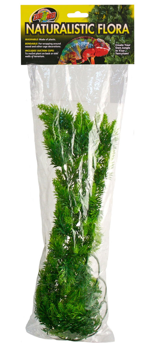 Large - 1 count Zoo Med Naturalistic Flora Malaysian Fern Terrarium Plant