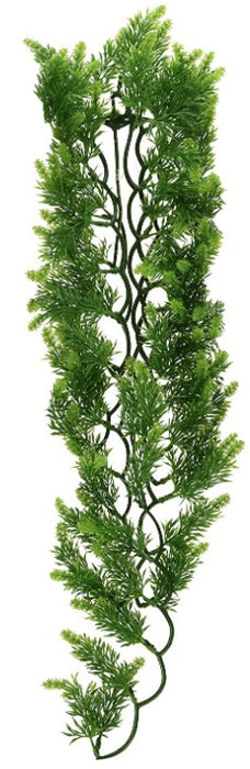 Large - 1 count Zoo Med Naturalistic Flora Malaysian Fern Terrarium Plant
