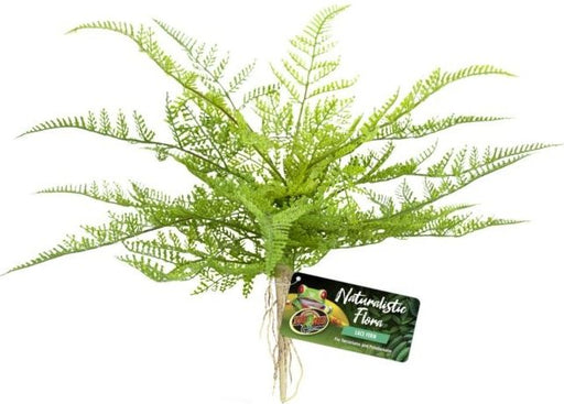 1 count Zoo Med Naturalistic Flora Lace Fern