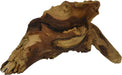 Small - 1 count Zoo Med Natural Mopani Wood for Aquariums or Terrariums