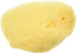 1 count Zoo Med All Natural Hermit Crab Sea Sponge